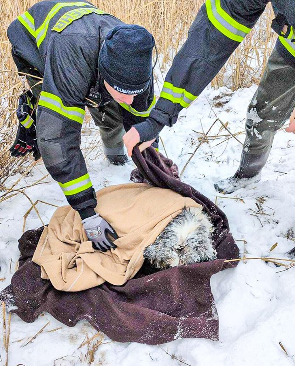 Die Feuerwehr Osterburg rettete am Freitag, 9. Januar 2026, diesen im Fluss Biese festgefrorenen Hund und wickelte ihn anschließend in Decken ein.