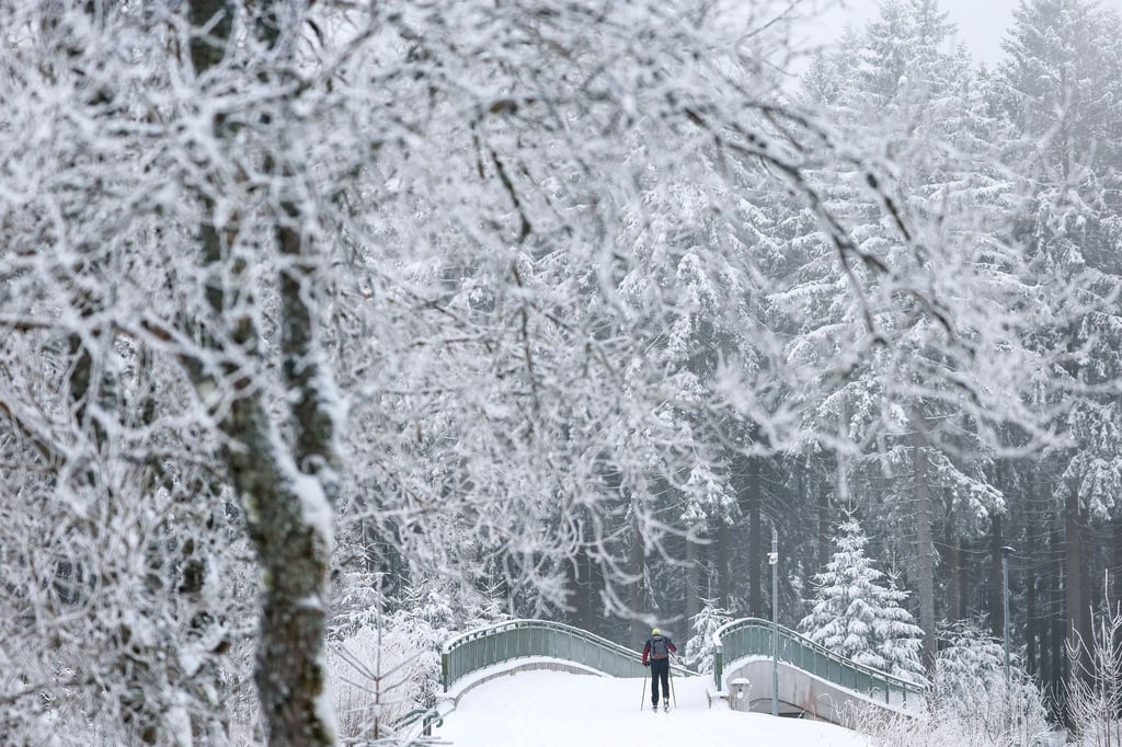 Auf der Kammloipe herrschen größtenteils gute bis sehr gute Bedingungen für Langläufer. (Archivbild)