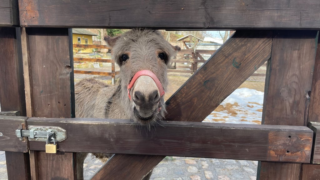 Der Heimatnaturgarten in Weißenfels bleibt über das Wochenende aufgrund der Wetterlage geschlossen.