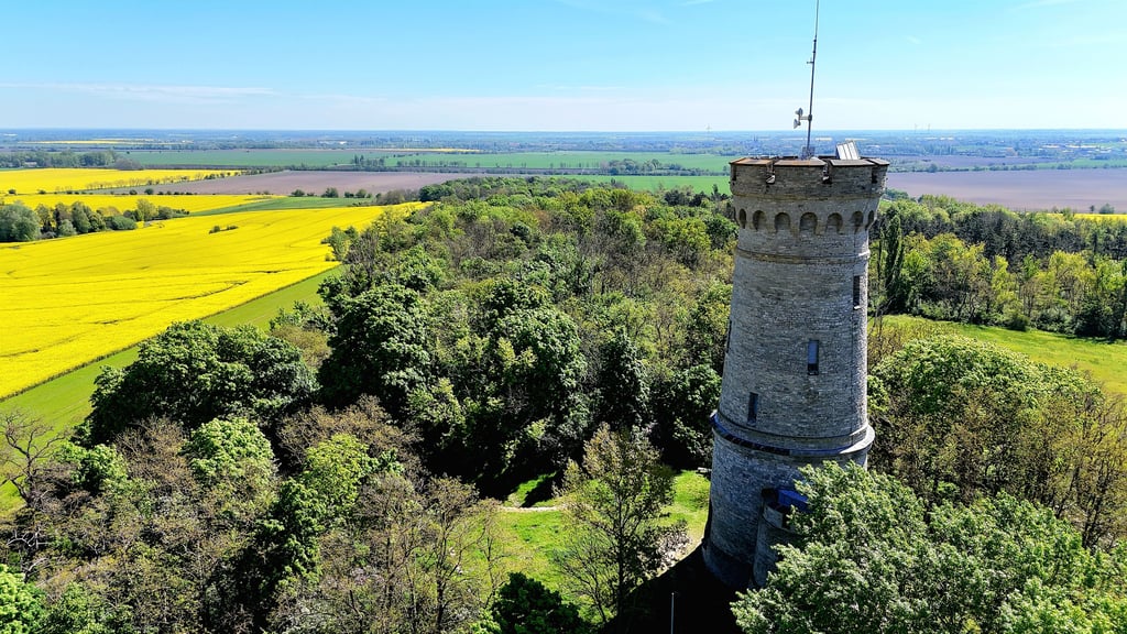 Der Bismarckturm in Calbe ist eine außergewöhnliche Hochzeitslocation - sonderlich oft wurde er 2025 aber nicht als Standesamt genutzt. 
