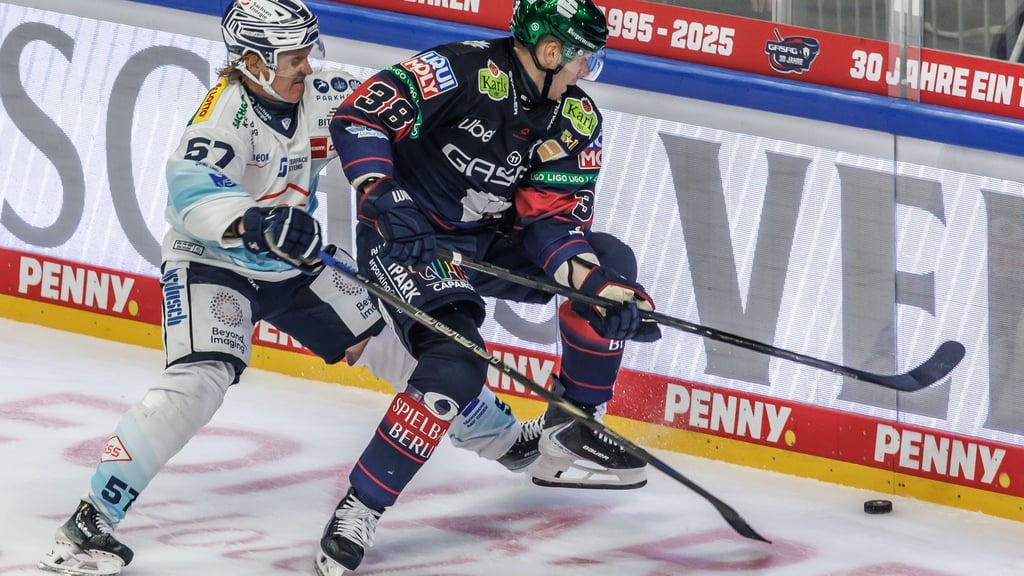 Die Eisbären Berlin treffen im DEL-Winter-Game am Samstag erneut auf die Dresdner Eislöwen.