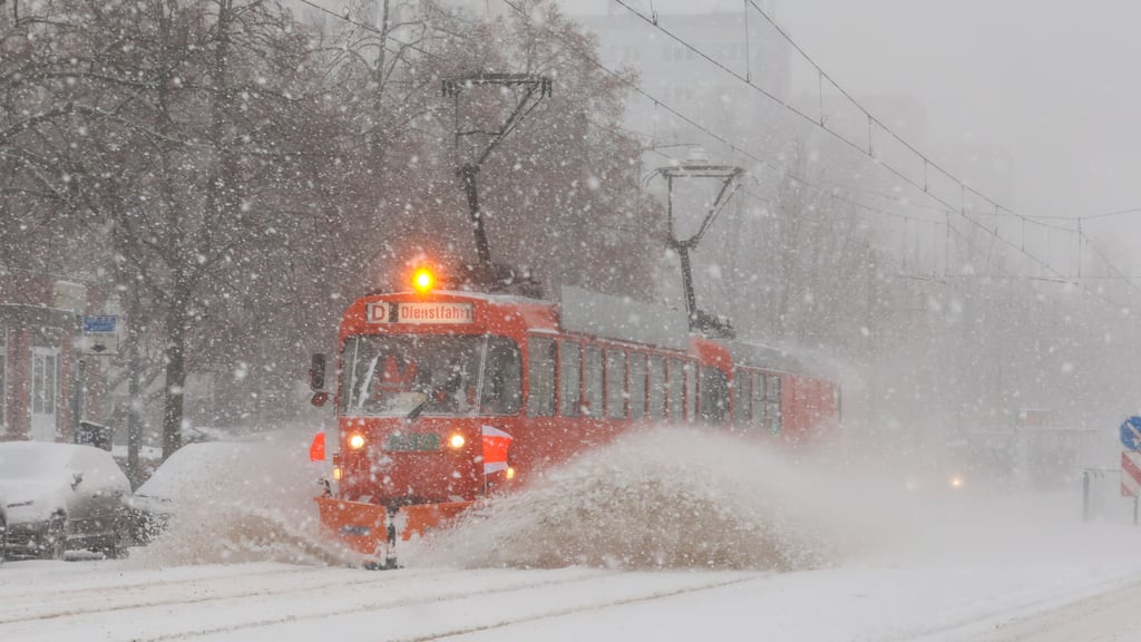 Sturmtief Elli ist nun auch in Magdeburg angekommen und sorgt für Schneemassen in der ganzen Stadt.&nbsp;