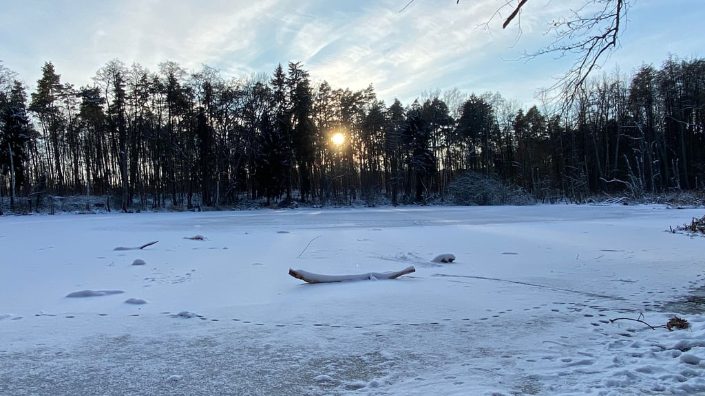 Zugefrorene Gewässer, wie hier der Klingteich in Haldensleben, sollten lieber nicht betreten werden. 