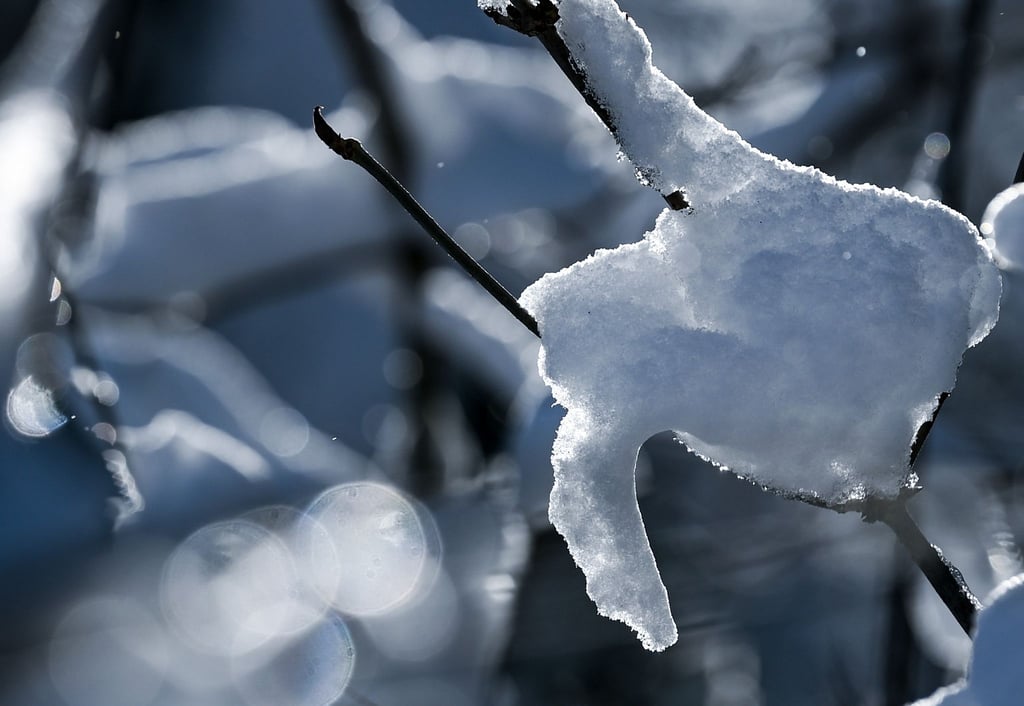 Winterliches Wetter sorgt in Teilen Sachsens für glatte Straßen und Verkehrsbehinderungen. (Symbolbild)