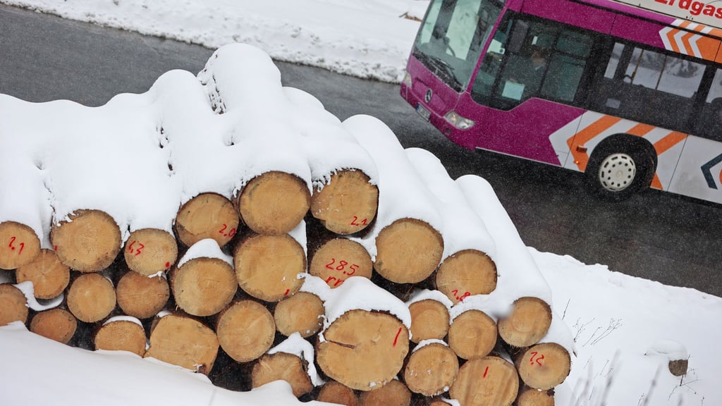 Wegen des Neuschnees ist der Busverkehr im Harz und Südharz weiterhin gestört. (Archivbild)