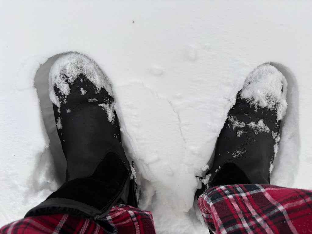 Im Jerichower Bereich lag die Schneehöhe am gestrigen Abend zwischen 12 und 15 Zentimetern, in Gommern bei bis zu 20 Zentimeter.