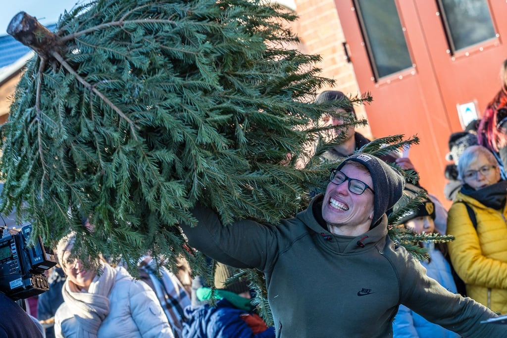 Die Weihnachtsbäume werden in Cottbus möglichst weit geworfen.