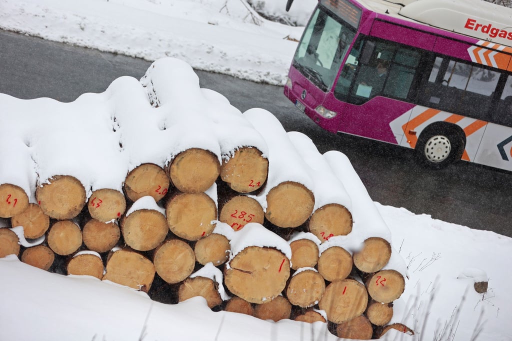 Wegen des Neuschnees ist der Busverkehr im Harz und Südharz weiterhin gestört. (Archivbild)