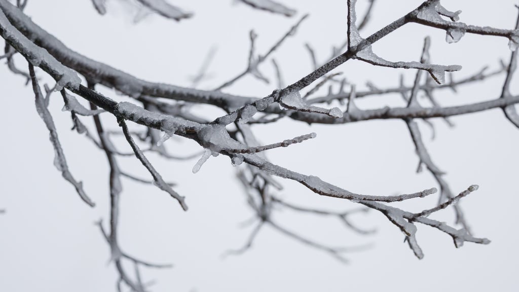 Besonders kalt war es in der vergangenen Nacht in Coschen. (Symbolbild)