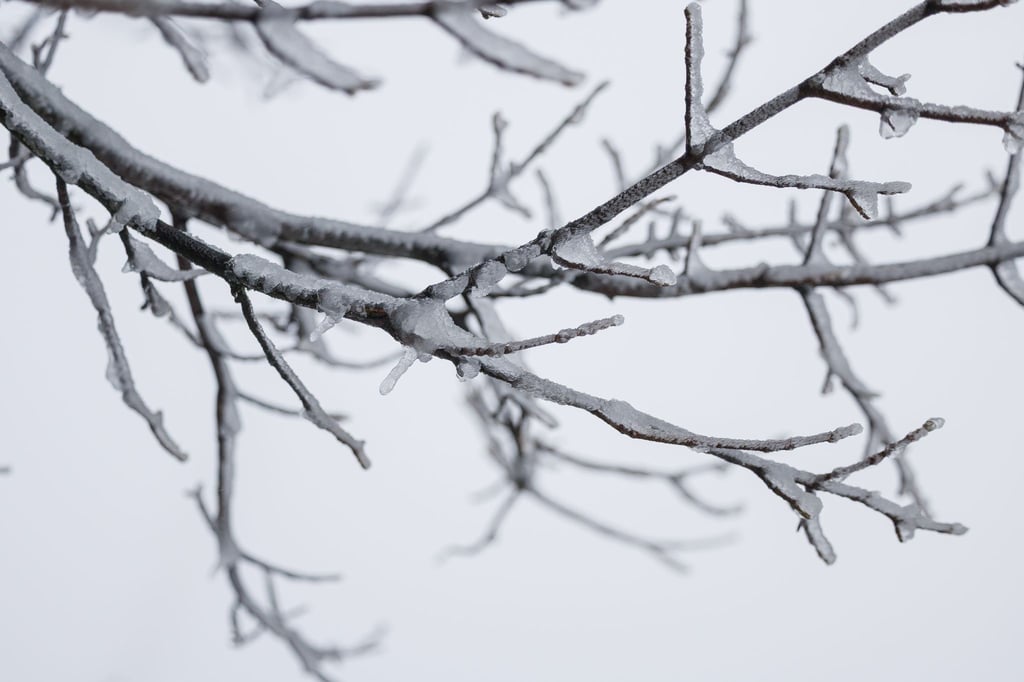 Besonders kalt war es in der vergangenen Nacht in Coschen. (Symbolbild)