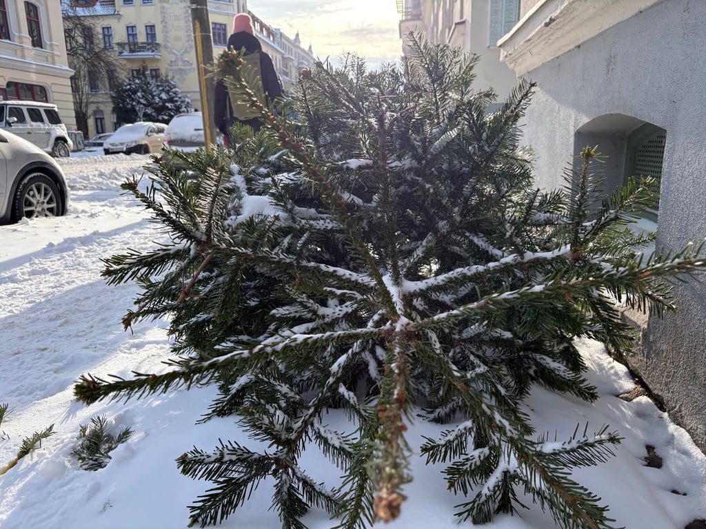 Ausgediente Weihnachtsbäume gehen heute in Mützel und Parchen in Flammen auf. Das beliebte Weihnachtsbaumverbrennnen in den ortschaften findet wie geplant statt.