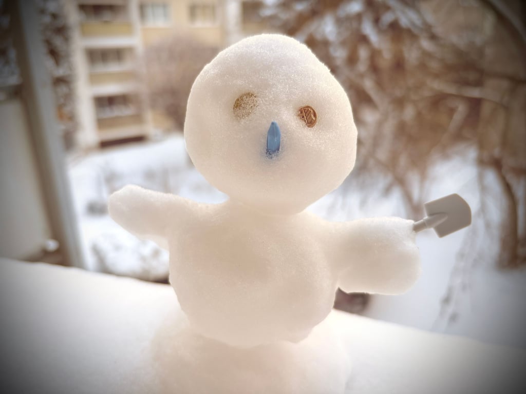 Dieser kleine Bewohner ist nun vielerorts im Jerichower Land zu finden. In Burg sogar auf Fensterbrettern.