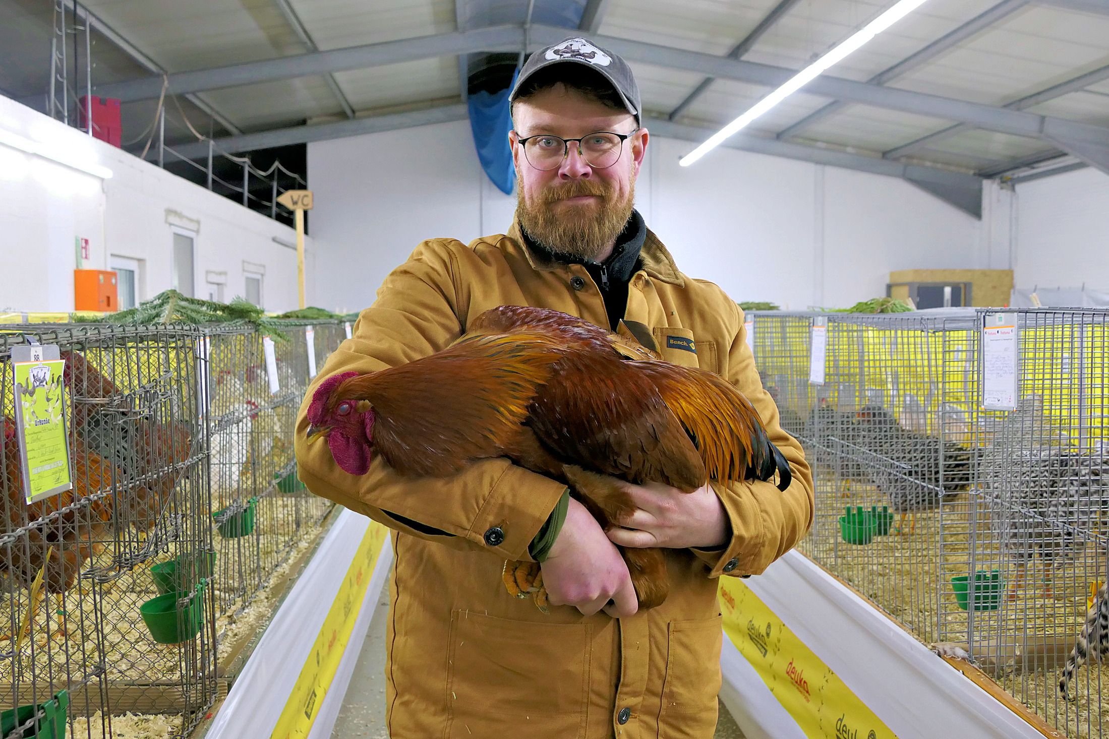 Schau im Saalekreis: Alles für das Prachtvieh: Geflügelzucht ist kein Hobby nur für Senioren