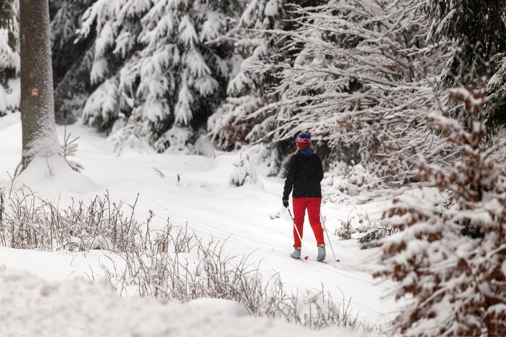 Der Thüringer Wald lockt mit vielen Möglichkeiten, um sich beim Skifahren, Langlaufen oder Rodeln den Sonntag aktiv zu gestalten.