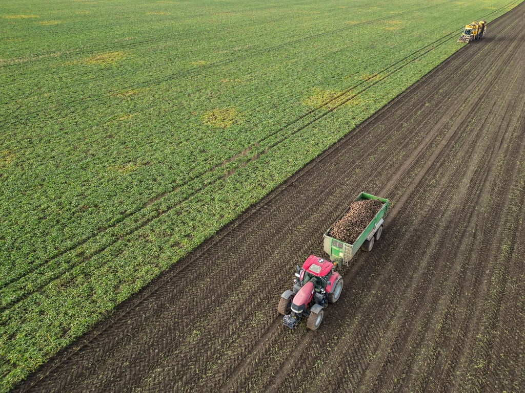 Die Preise für viele Agrarprodukte sind derzeit unter Druck. (Archivbild)