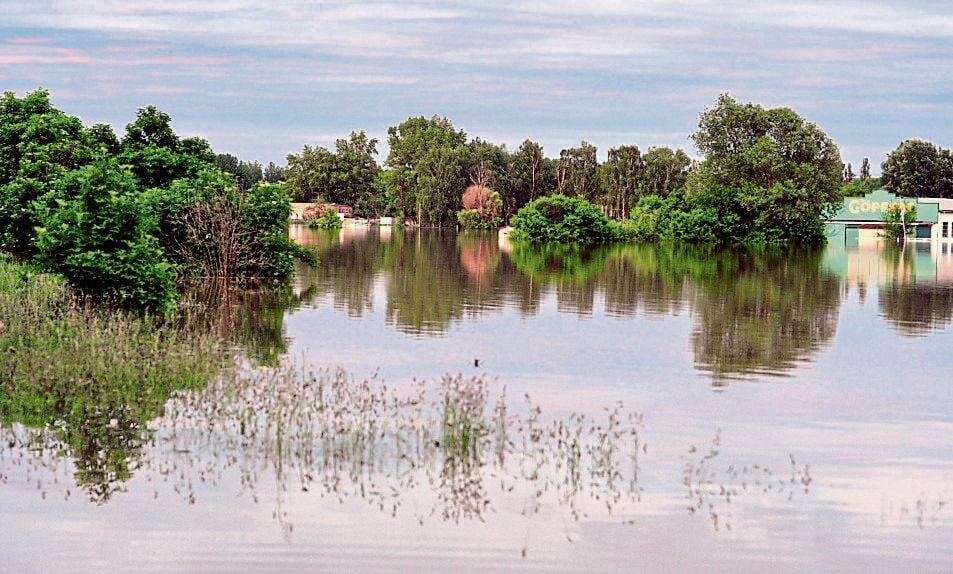 Hochwasserschutz an der Saale: Ein Deich für Uichteritz - Darum lehnen Bürger das Vorhaben ab