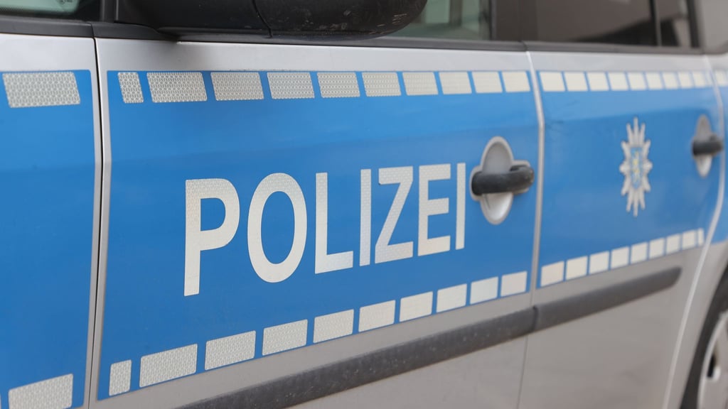Die Polizei Halle sucht zwei Ladendiebe.