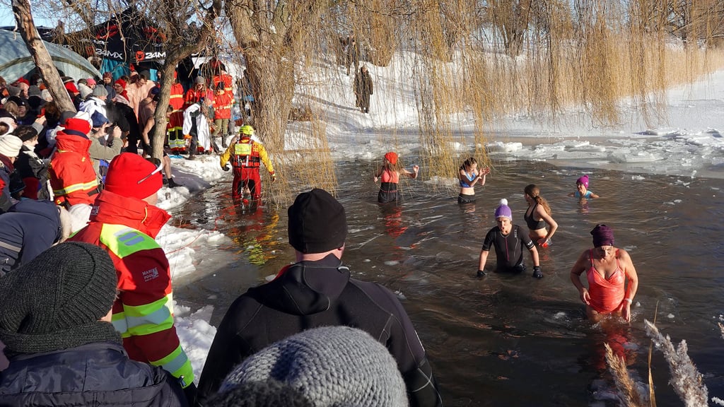 Während Zuschauer am Rand des winterlichen Reddeberteichs mit Winterjacken und Mützen dick eingepackt sind, wagen sich viele Mutige in das eiskalte Gewässer bei Wernigerode.