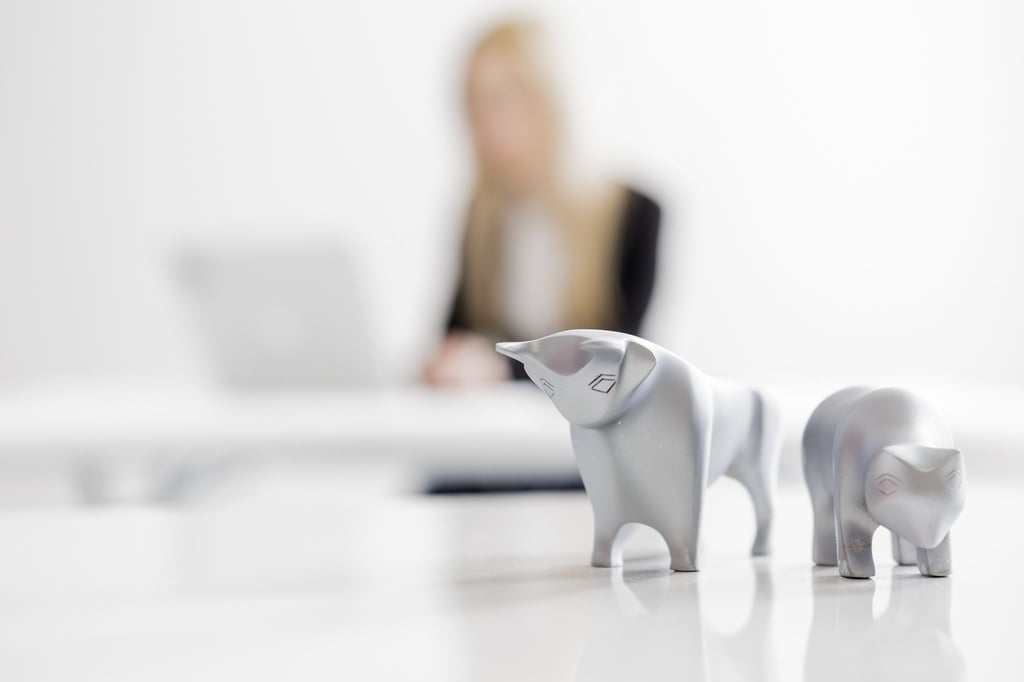 Erwartet uns 2026 ein Bullen- oder ein Bärenmarkt? Für Anlegerinnen und Anleger wäre es schön, das vorhersehen zu können.