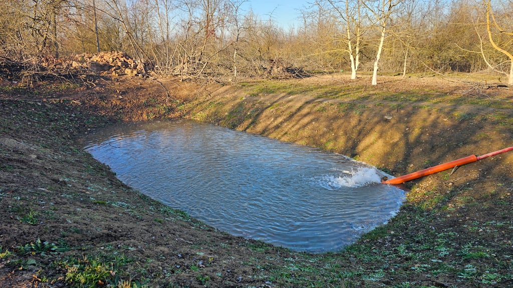 Auf dem ehemaligen Militärgelände in der Selauer Straße wurde ein altes Trainingsbecken mit Wasser befüllt, um dort ein Kröten-Biotop entstehen zu lassen.