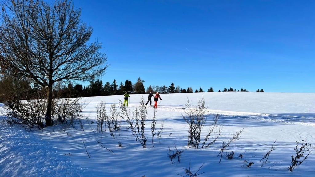 Kaum gespurt, ging es auch schon los. 