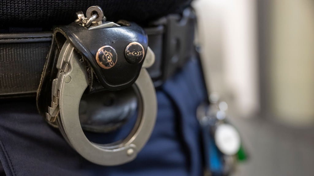 Ein Mann hat sich in Magdeburg massiv seiner Verhaftung widersetzt.