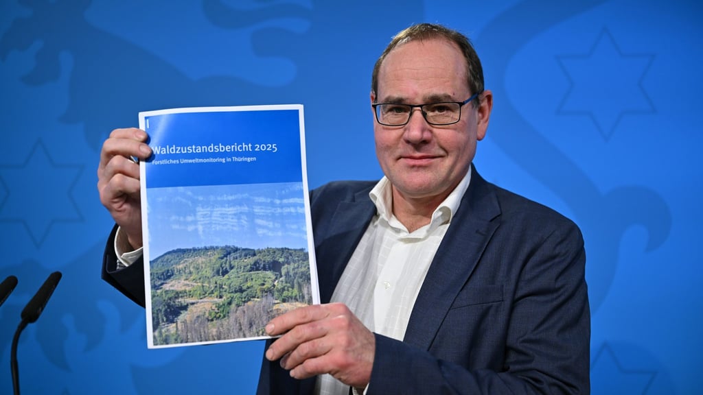 Laut Waldzustandsbericht sind mehr Waldflächen im Freistaat gesund.