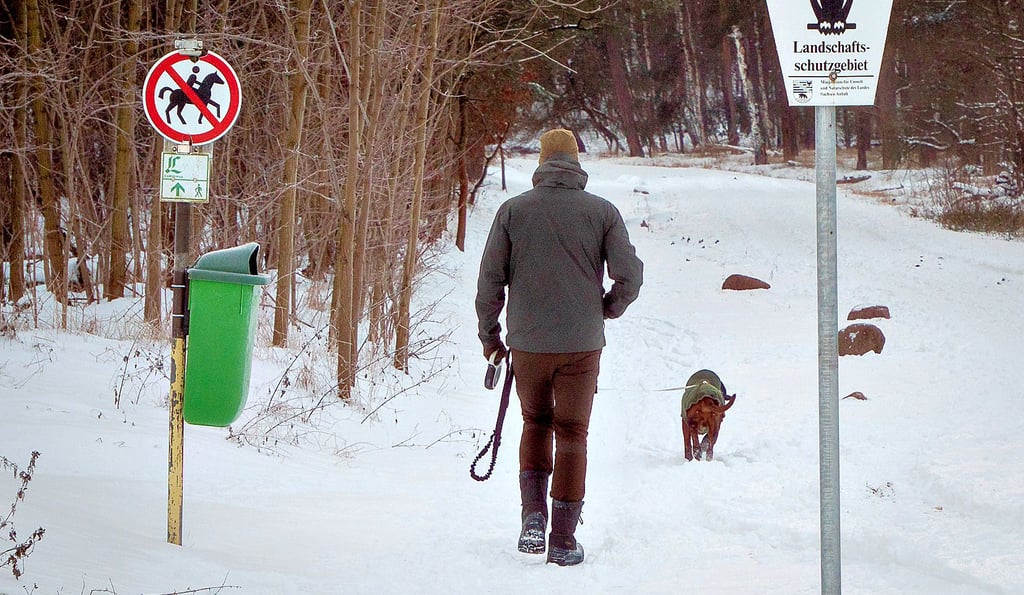 Zwischen Wahlitz und der Klus-Brücke verläuft ein Teil des Lutherwegs, der gern von Wanderern und Radfahrern genutzt wird. 2026 soll der Radweg trotz angespannter finanzieller Lage ausgebaut werden.