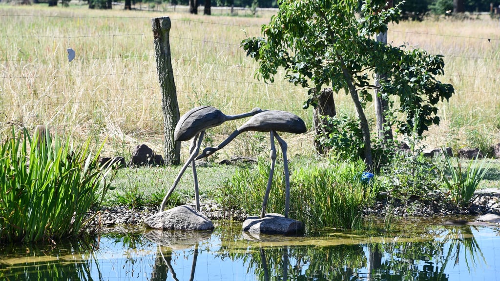 Töpfergarten in Wernitz, hier zwei Graureiher am Badeteich, hergestellt von Rainer Krawczyk mit der Kettensäge aus einem Holzstück.