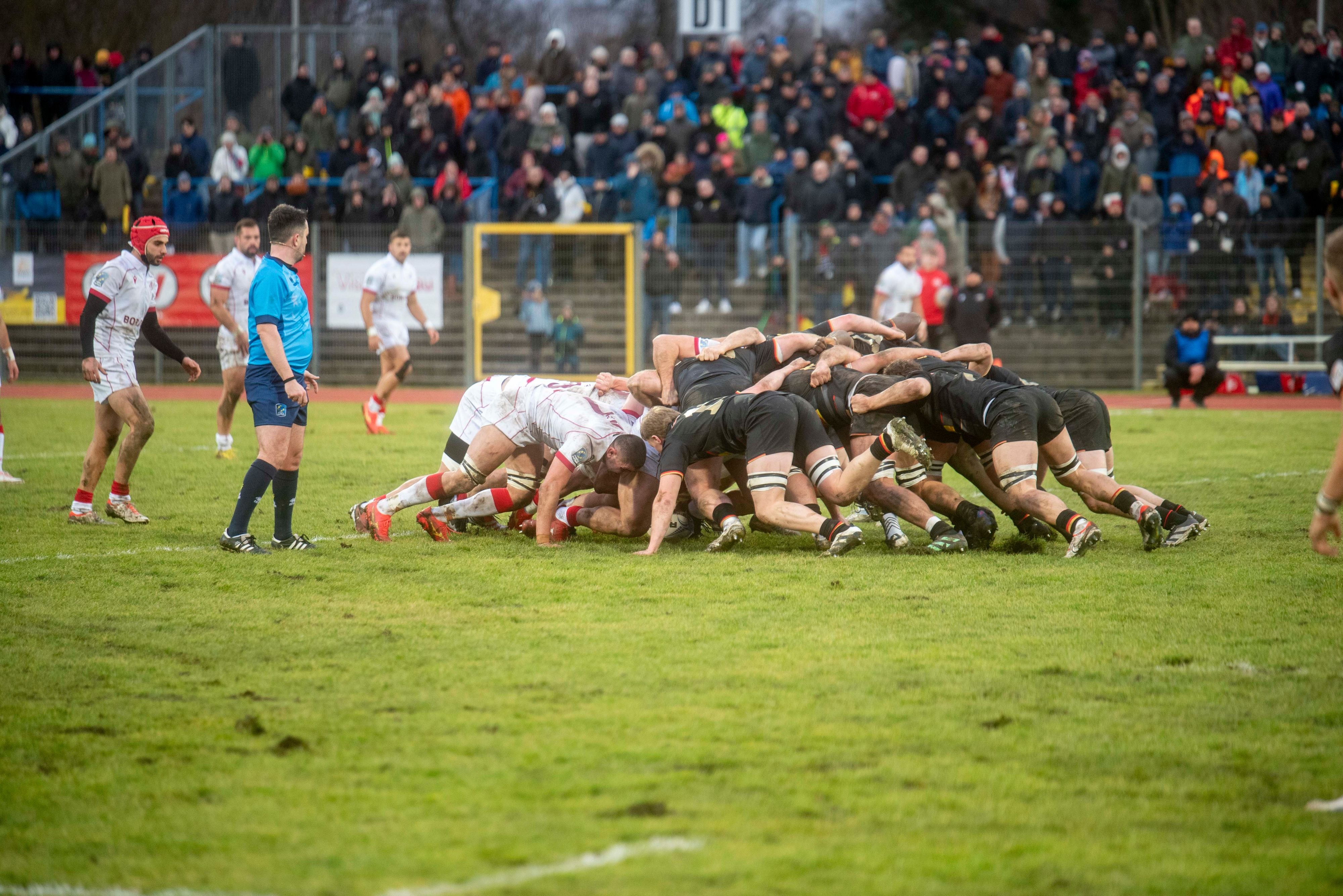 Länderspiel im Paul-Greifzu-Stadion: „Schwarzer Adler“ unter Druck vor EM-Start - Vorbereitung auf Dessau-Spiel gegen Portugal beginnt