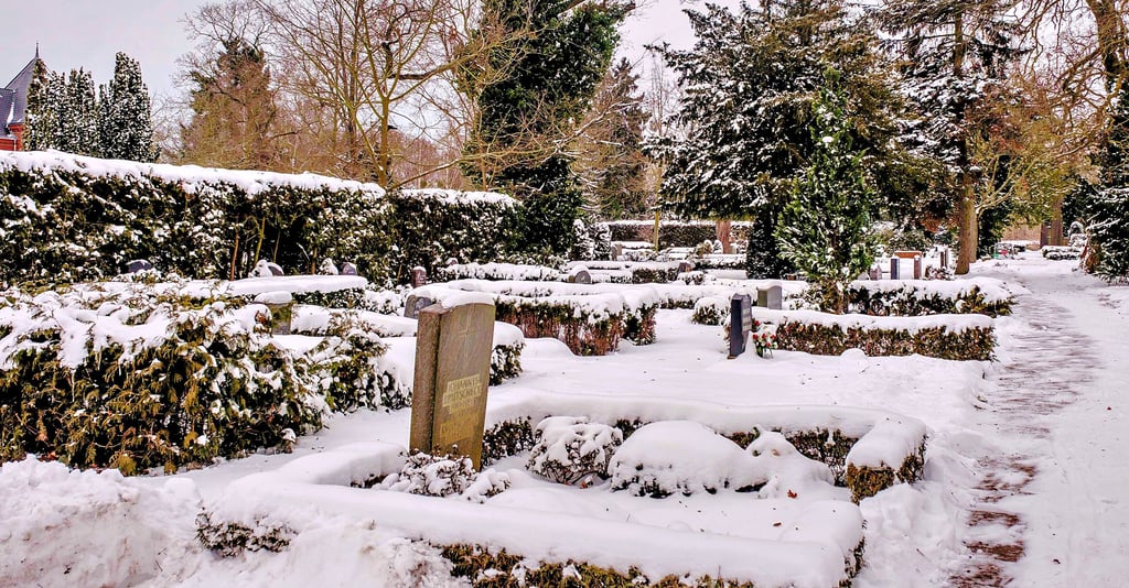 Ein Blick auf den Wittenberger Friedhof an der Dresdener Straße.