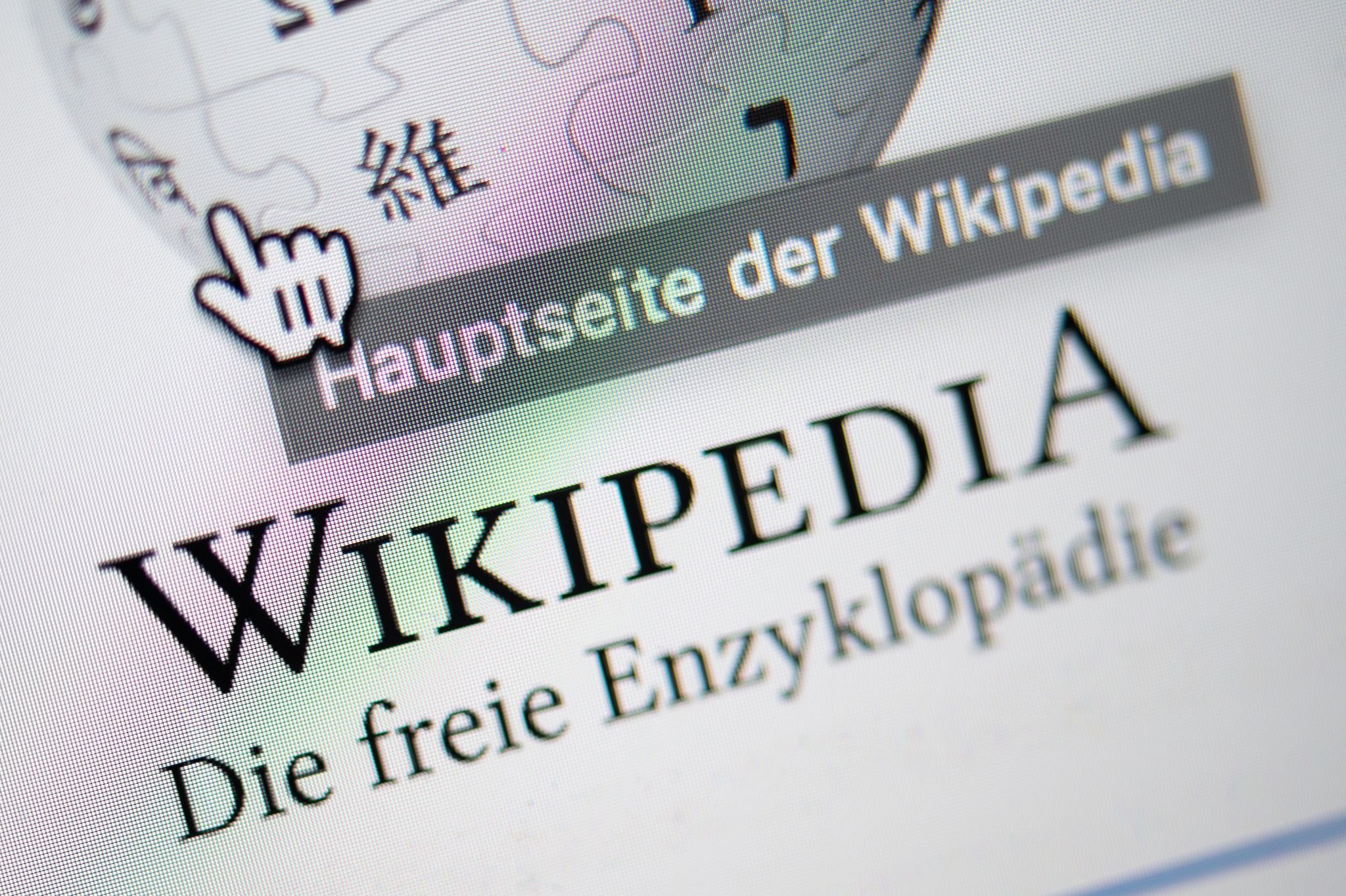 Wikipedia hat Geburtstag: Seit der Schulzeit aktiv - Worüber ein Autor aus dem Mansfelder Land bei Wikipedia alles schreibt