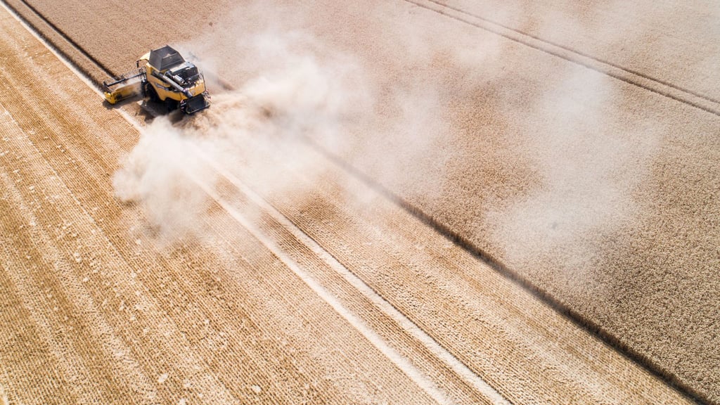 Unklare politische Rahmenbedingungen verunsichern viele Landwirte, die daher notwendige Investitionen aufschieben - daher sind die Zukunftserwartungen der Branche eher verhalten, heißt es im Konjunkturbarometer Agribusiness. (Archivbild)