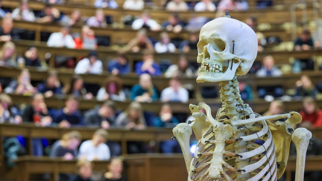 Medizin studieren ohne Numerus Clausus ist in Sachsen möglich. (Symbolbild)