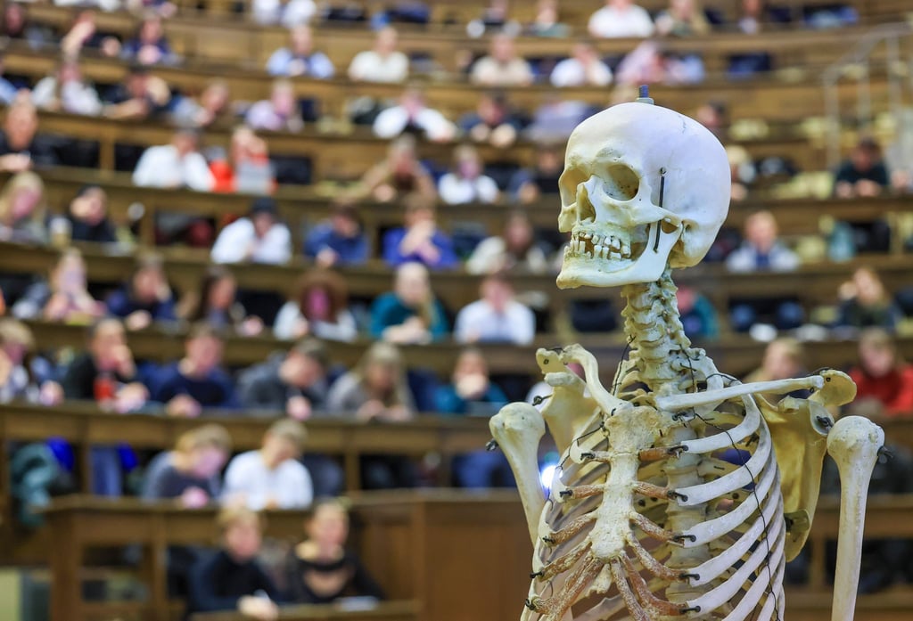 Medizin studieren ohne Numerus Clausus ist in Sachsen möglich. (Symbolbild)