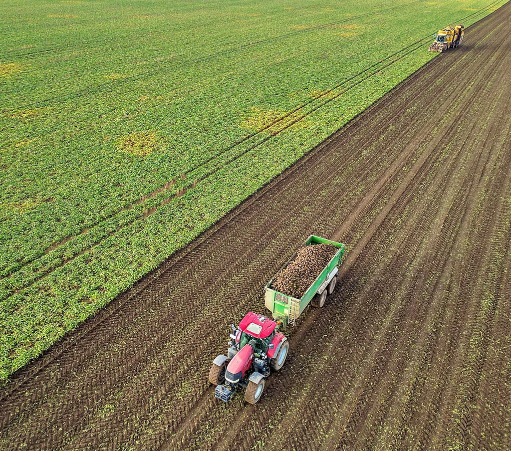 Ab dem Jahr 2028 soll die Auszahlung der  EU-Flächenprämien neu geregelt werden. In Sachsen-Anhalt stehen die Pläne in der Kritik. 