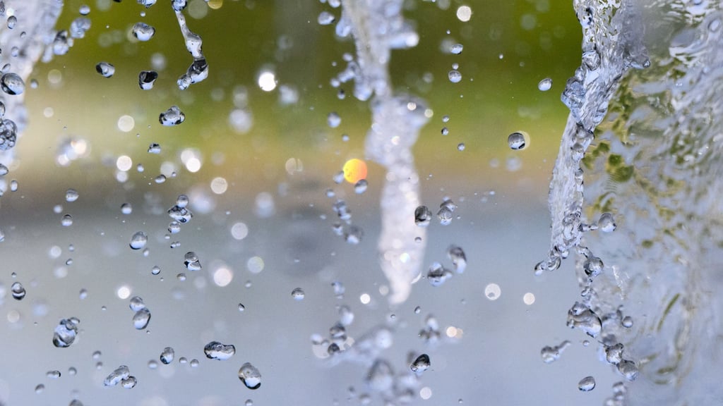 Die genauen Auswirkungen der Erwämung sind noch unklar. (Symbolbild)