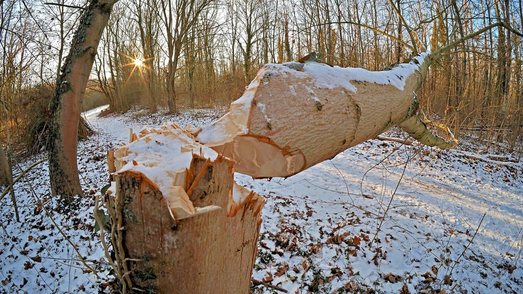 Zerstörung im Naherholungsgebiet: Die Spuren weisen auf mutwillige Beschädigungen hin.