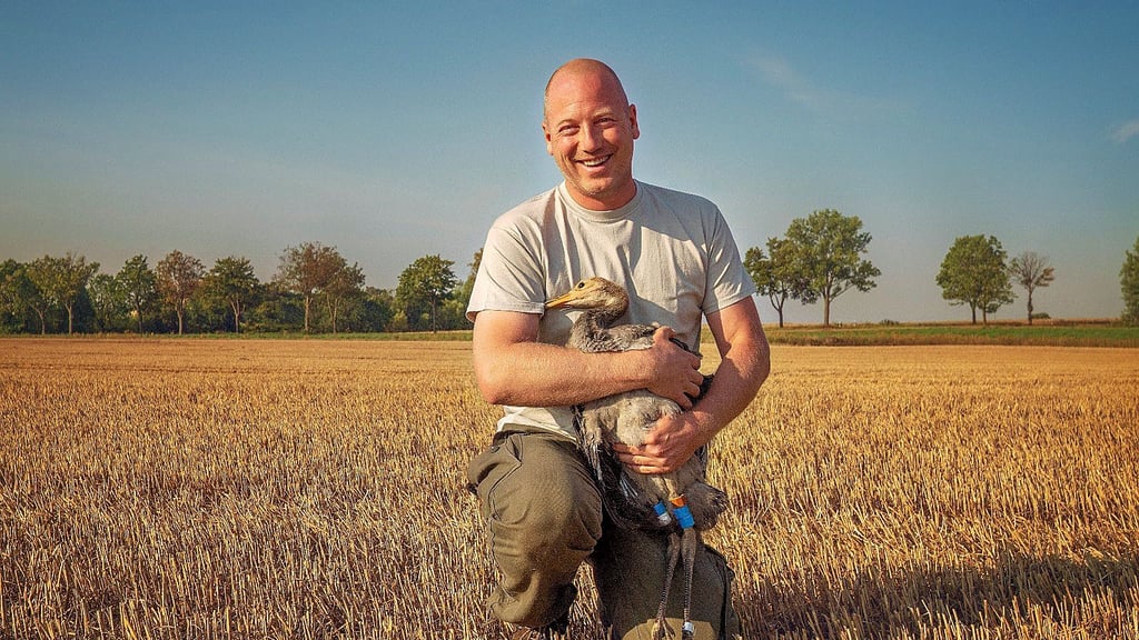 Ornithologe und Vogelexperte Axel Schonert mit dem jungen Kranich Jens. Der Kemberger hofft, dass die Tiere aus dem Landkreis wohlbehalten zurückkehren.