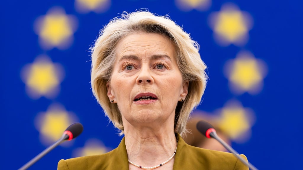 Vorherige Misstrauensanträge gegen Ursula von der Leyens EU-Kommission scheiterten deutlich. (Archivbild)