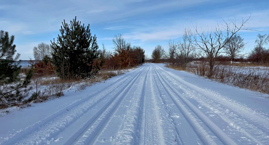 Frisch gespurt - die Loipe führt vom Ortsausgang Pouch bis Richtung Seelhausener See.