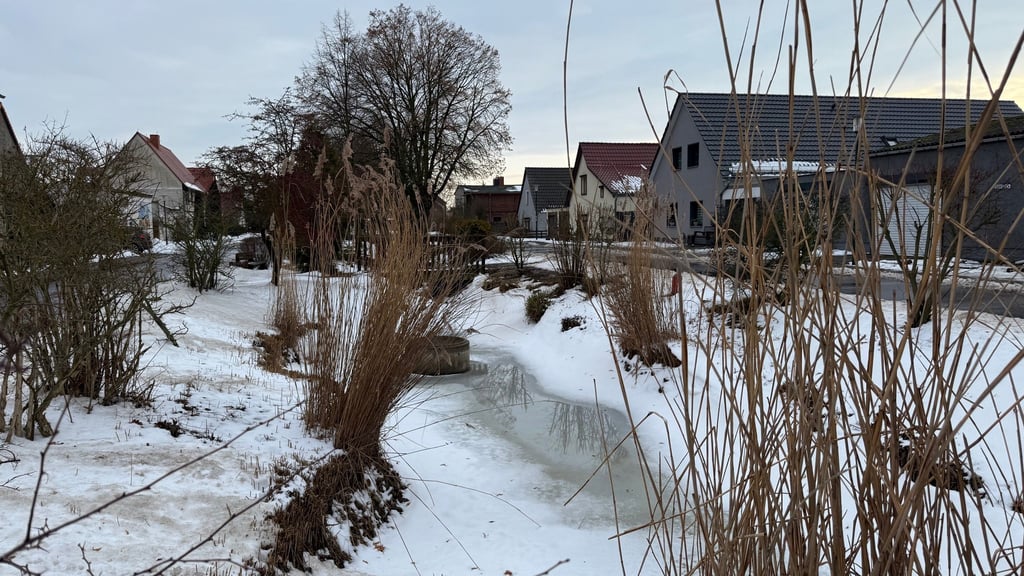 Der Dorfteich in Marke wurde in Teilen von Bewuchs befreit.