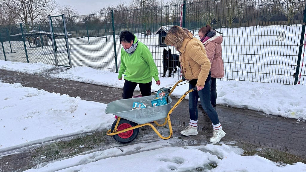 Mit Frauenpower und Tierliebe halten die Mitarbeiterinnen den Betrieb der Auffangstation in der Bitterfelder Teichstraße in Schwung. 