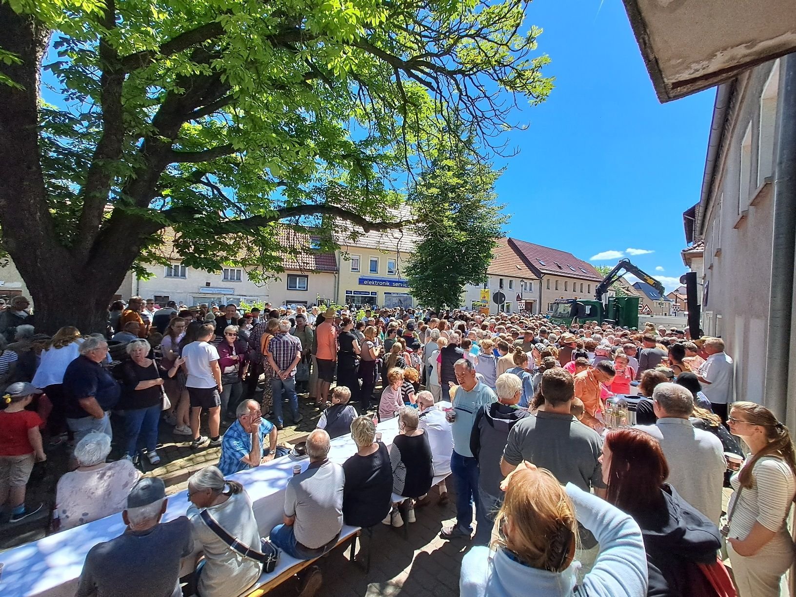 Nicht mehr zu retten: Alte Kastanie am Bäckerplatz fällt - Allstedt sammelt für einen großen neuen Baum
