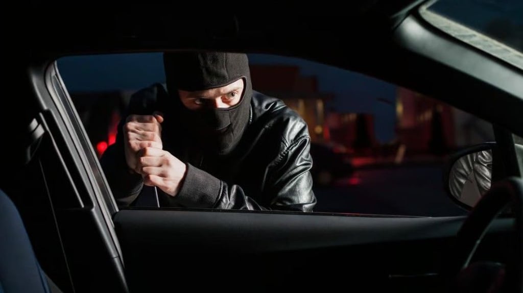 In Halle wurde ein Transporter gestohlen. Glück für die Ermittler und den rechtmäßigen Besitzer: Das Fahrzeug ließ sich orten.