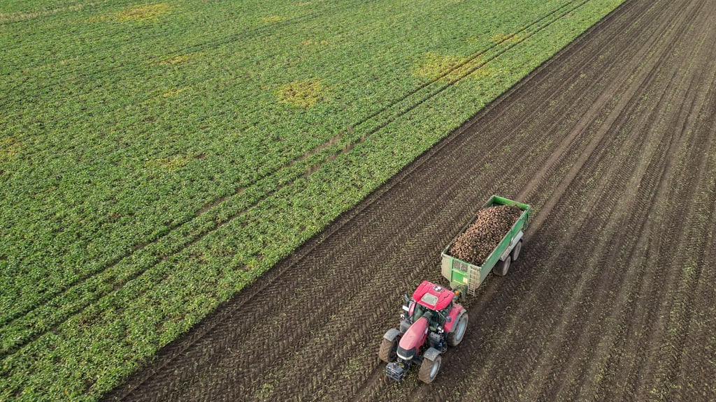 Der Bauernverband Sachsen-Anhalt warnt vor steigenden Kosten in der Landwirtschaft und fordert mehr Planungssicherheit (Archivbild)
