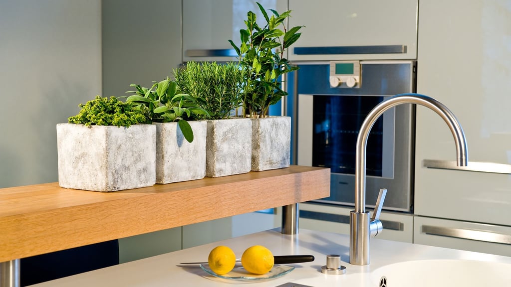 Grüne Frische in der Küche: Im Winter lassen sich viele Kräuter auch in hellen Innenräumen erfolgreich anbauen.