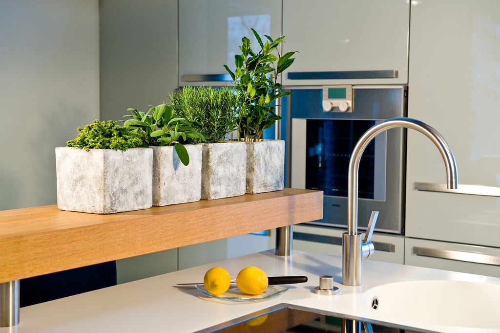 Grüne Frische in der Küche: Im Winter lassen sich viele Kräuter auch in hellen Innenräumen erfolgreich anbauen.