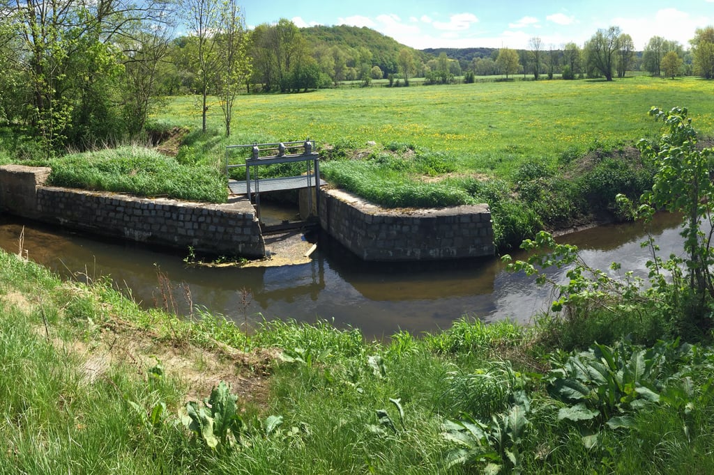 Bestandteil des Festest zu 35 Jahre Aha ist eine Winterexkursion zur Weißen Elster und dem Elsterfloßgraben.