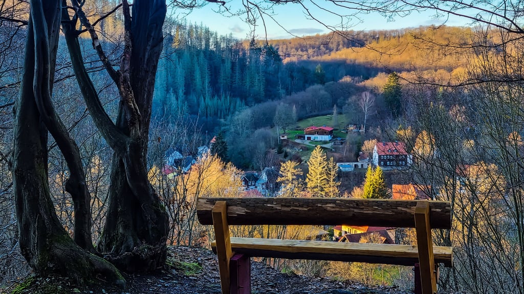 Wer in und um Treseburg wandert, wird an vielen Stellen mit tollen Ansichten belohnt. 